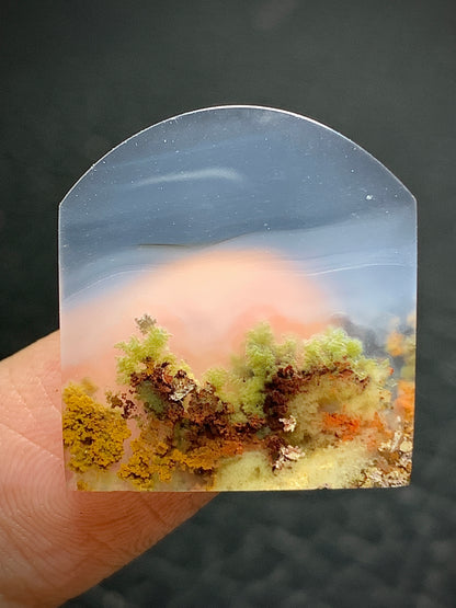 Scenic Moss Agate Fanshape Cabochon 21.4x20x3.8mm