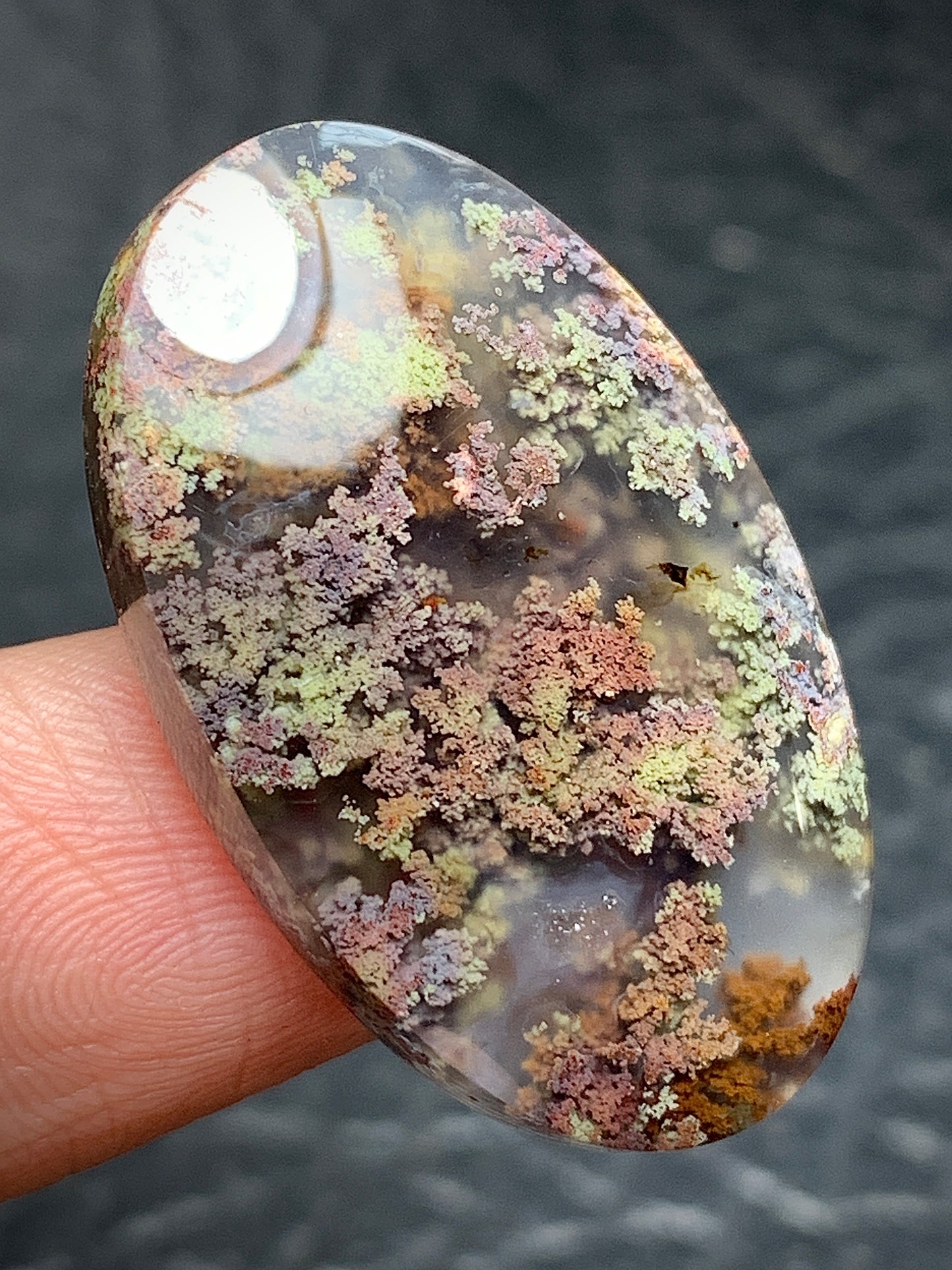 Scenic Moss Agate Oval Cabochon 30x18.5x6mm