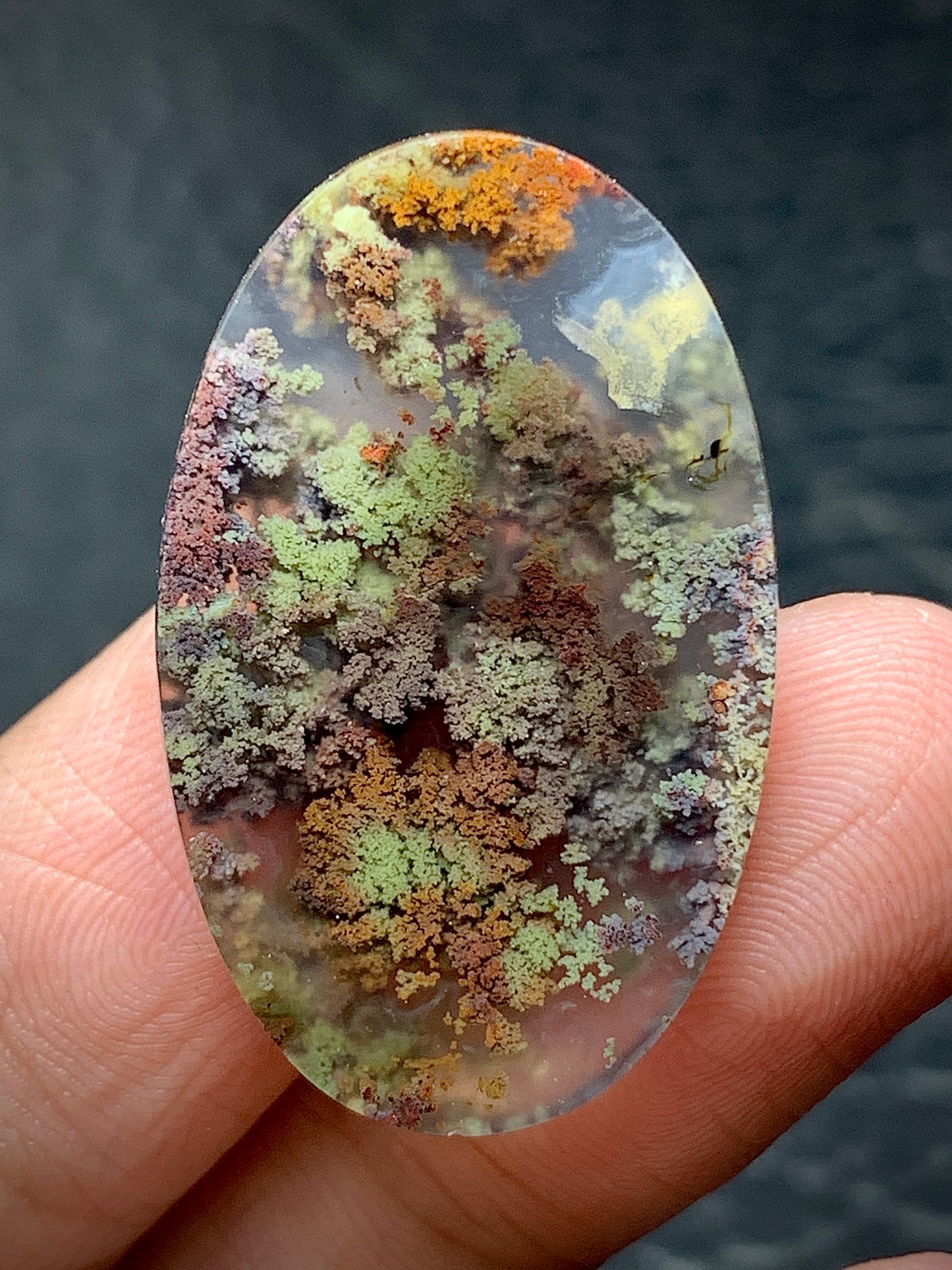 Scenic Moss Agate Oval Cabochon 30x18.5x6mm