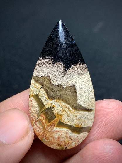 Petrified Wood Teardrop Cabochon 37.5x19.3x6mm