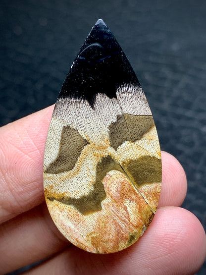 Petrified Wood Teardrop Cabochon 37.5x19.3x6mm