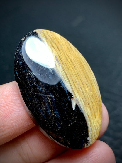 Rare Petrified Palmwood Oval Cabochon 33x20x6.5mm