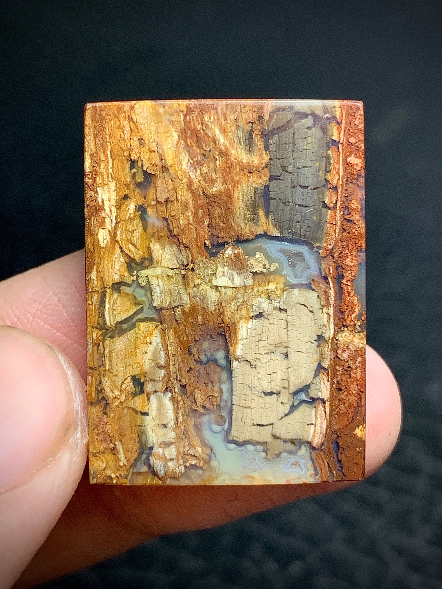 Petrified Wood Rectangle Cabochon 27.5x20x4.5mm