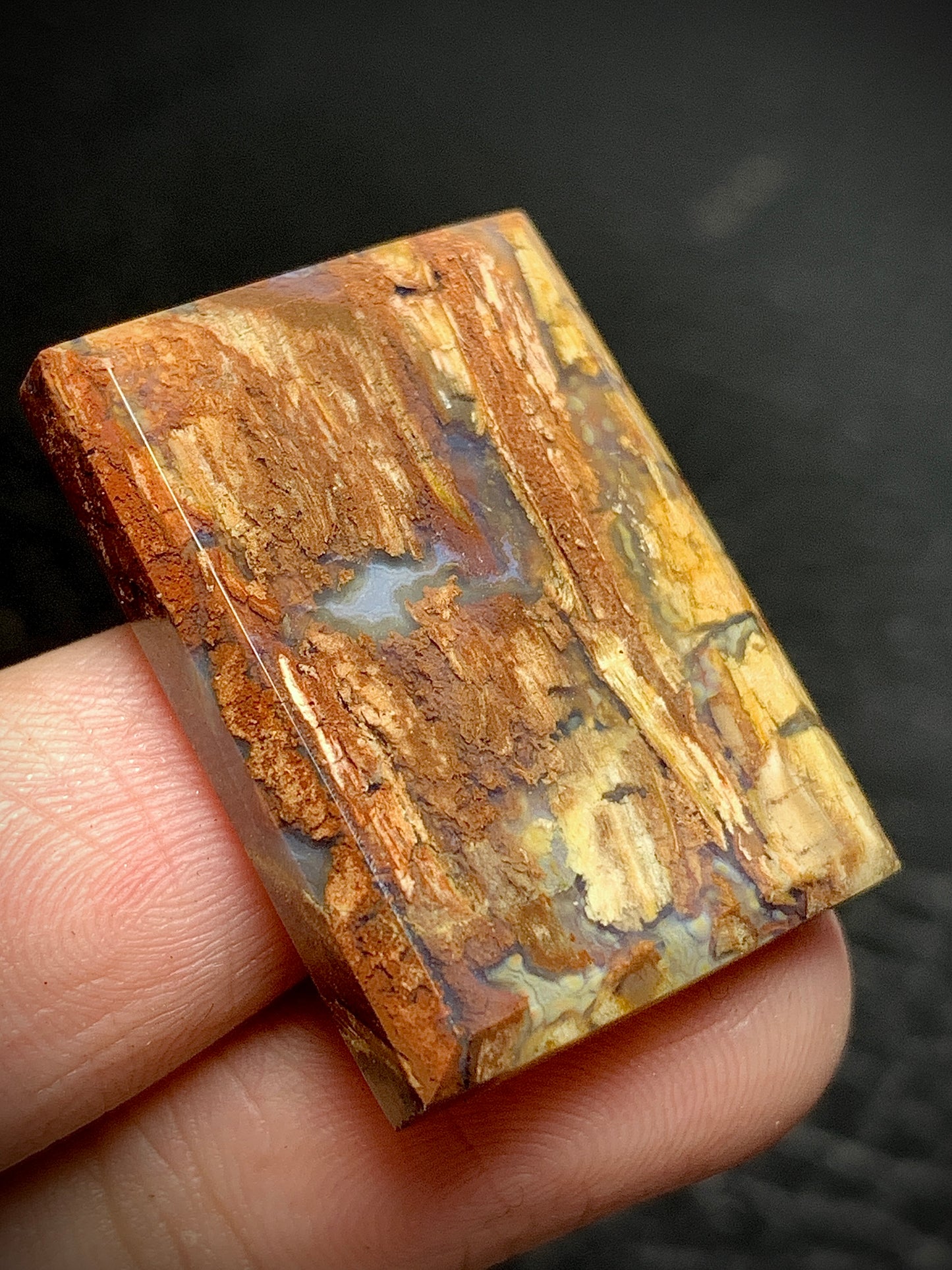 Petrified Wood Rectangle Cabochon 27.5x20x4.5mm