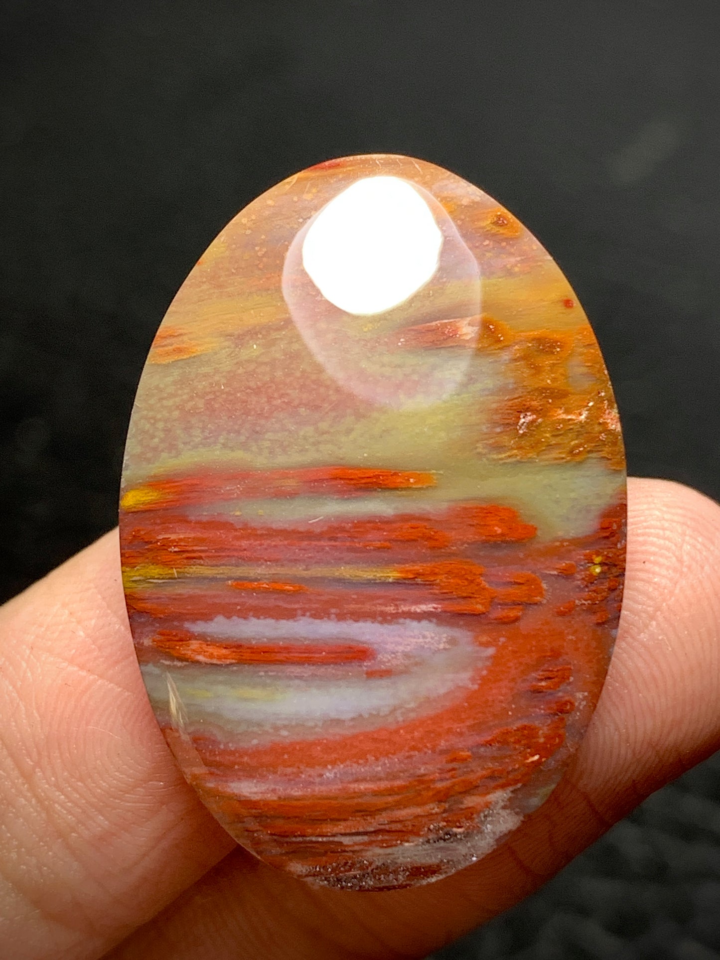 Multicolor Petrified Palmwood Oval Cabochon 30.7x21x6mm