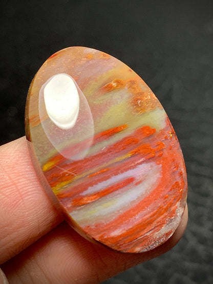 Multicolor Petrified Palmwood Oval Cabochon 30.7x21x6mm