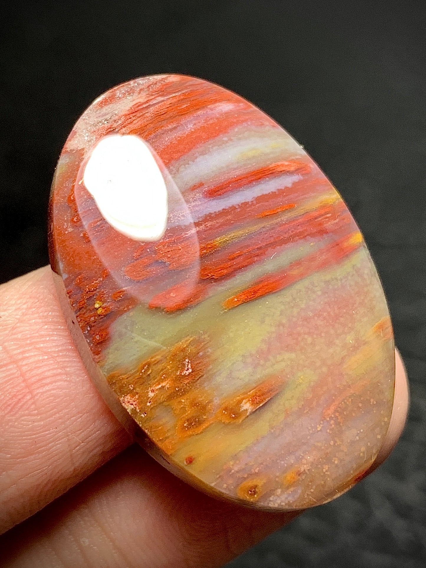 Multicolor Petrified Palmwood Oval Cabochon 30.7x21x6mm