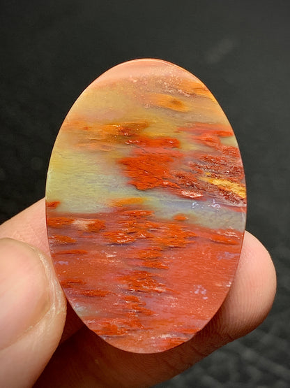 Multicolor Petrified Palmwood Oval Cabochon 30.7x21x6mm