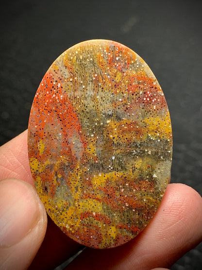 Multicolor Petrified Palmwood Oval Cabochon 38.7x26.8x7mm