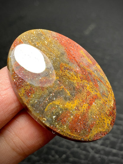 Multicolor Petrified Palmwood Oval Cabochon 38.7x26.8x7mm