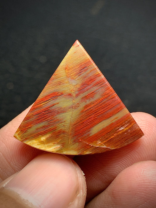 Petrified Palmwood Teardrop Cabochon 25x21.3x3.9mm