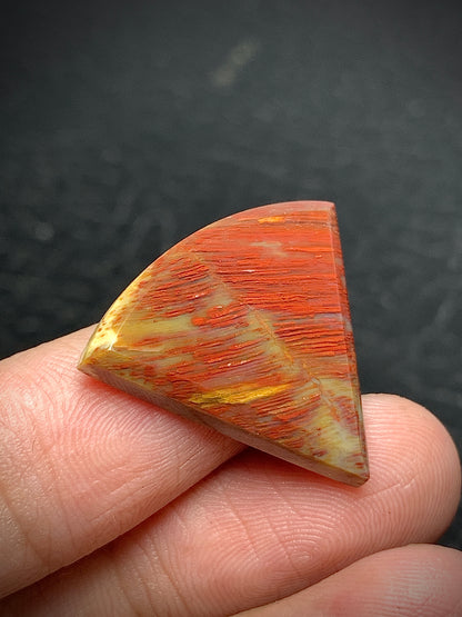 Petrified Palmwood Teardrop Cabochon 25x21.3x3.9mm