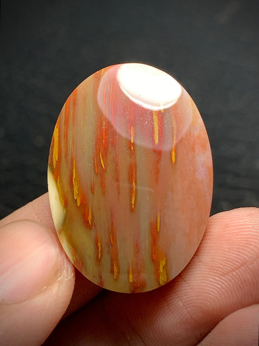 Multicolor Petrified Palmwood Oval Cabochon 27.5x20x6mm