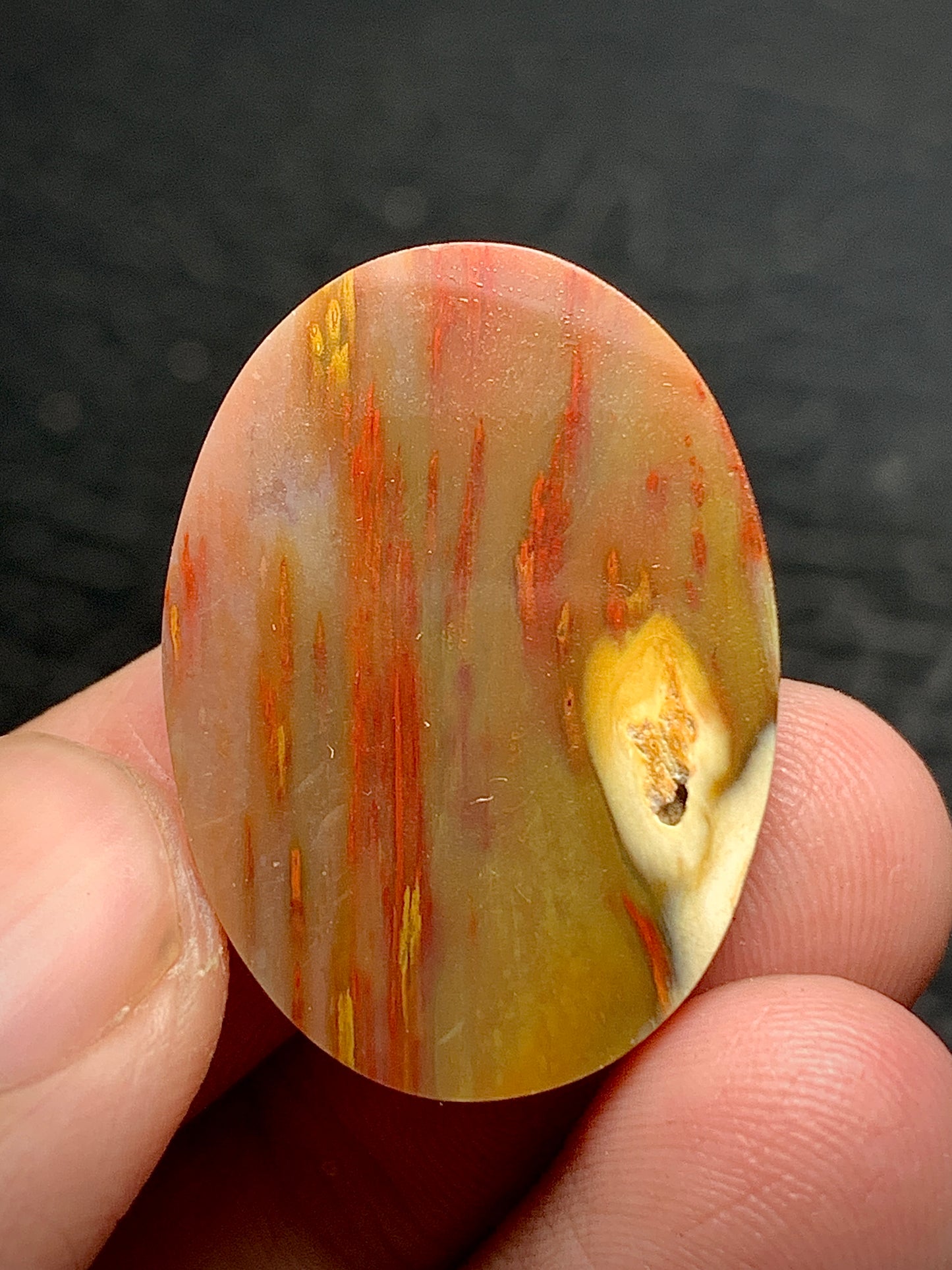 Multicolor Petrified Palmwood Oval Cabochon 27.5x20x6mm