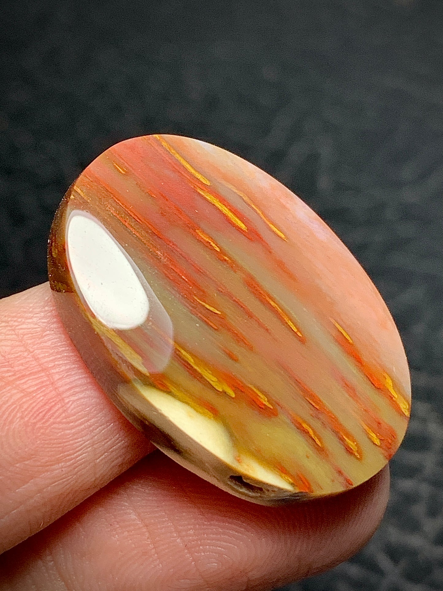 Multicolor Petrified Palmwood Oval Cabochon 27.5x20x6mm