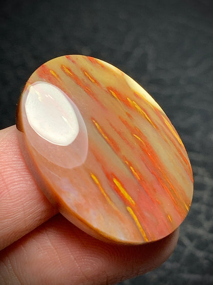 Multicolor Petrified Palmwood Oval Cabochon 27.5x20x6mm