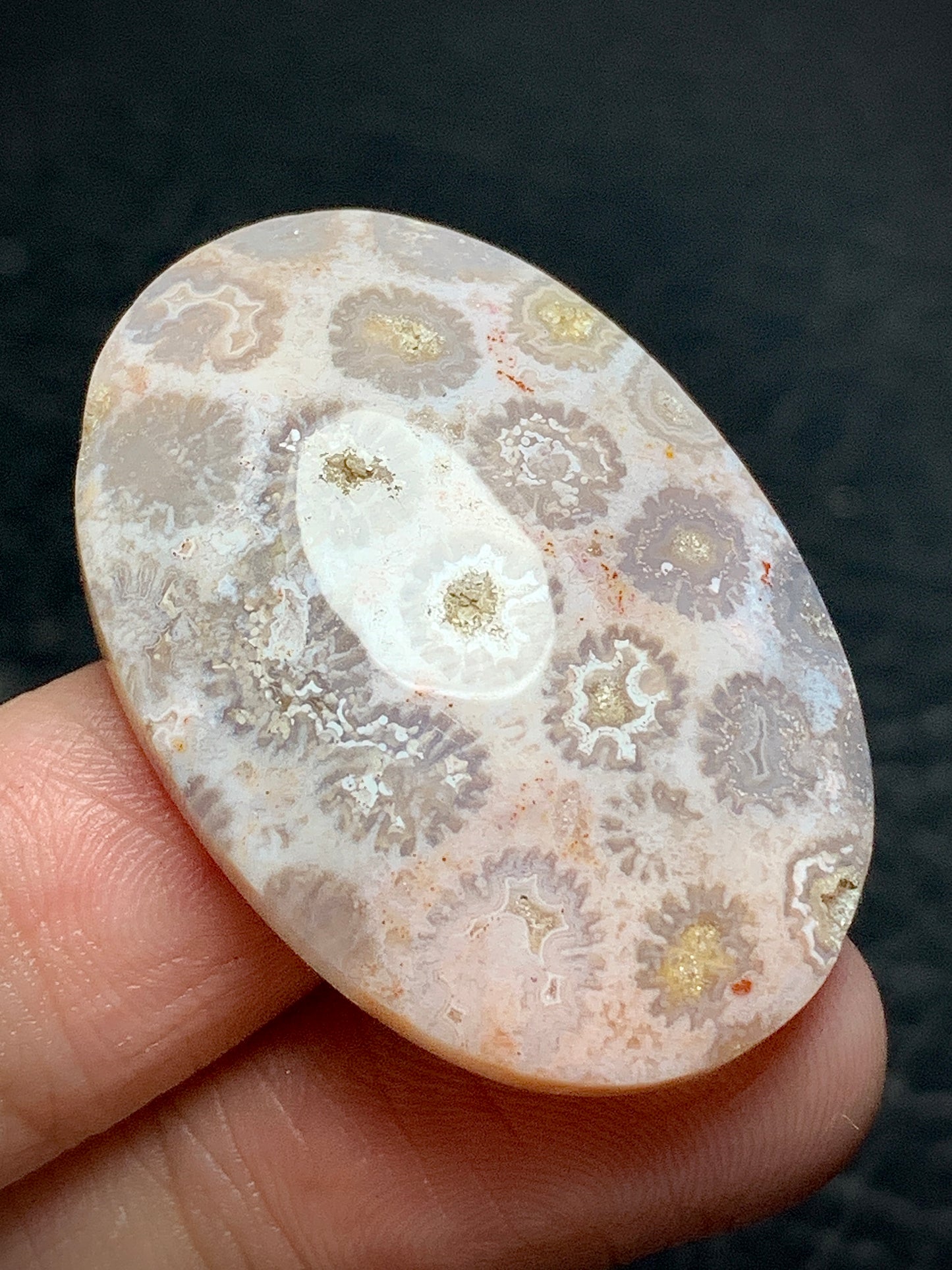 Unique Coral Fossil Oval Cabochon 35x19x7.5 mm