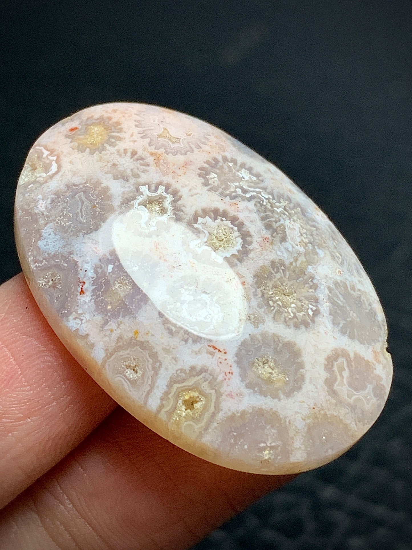 Unique Coral Fossil Oval Cabochon 35x19x7.5 mm