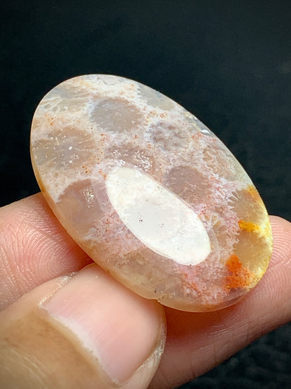 Unique Coral Fossil Oval Cabochon 35x23x6mm