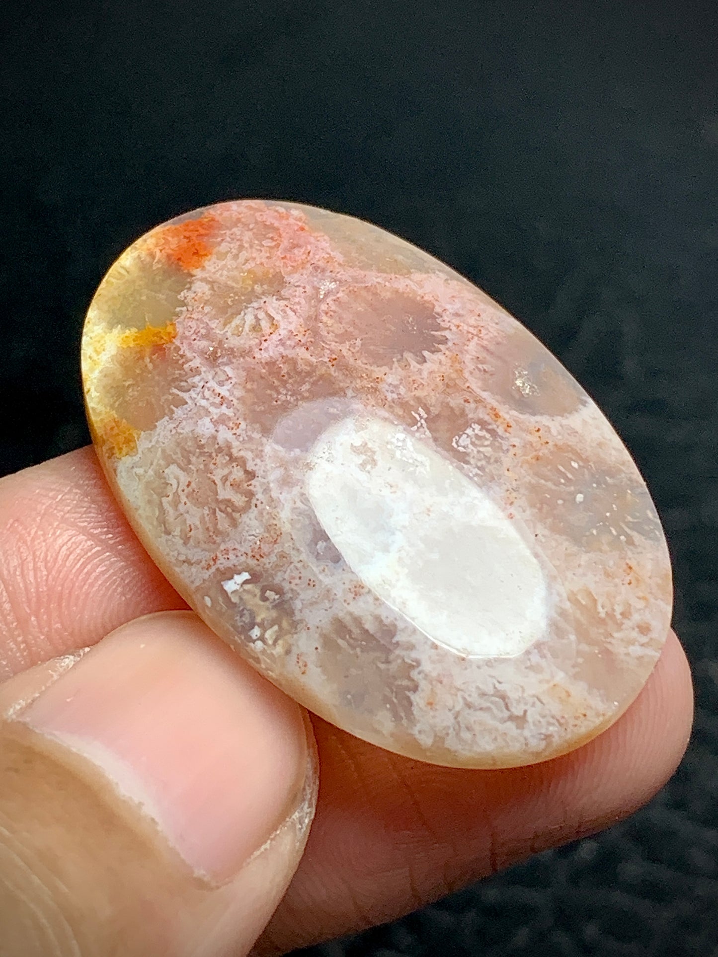 Unique Coral Fossil Oval Cabochon 35x23x6mm