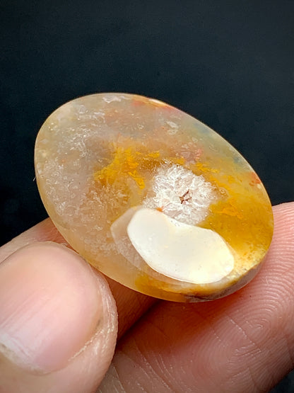 Unique Coral Fossil Oval Cabochon 28x20.5x5mm with Druzy