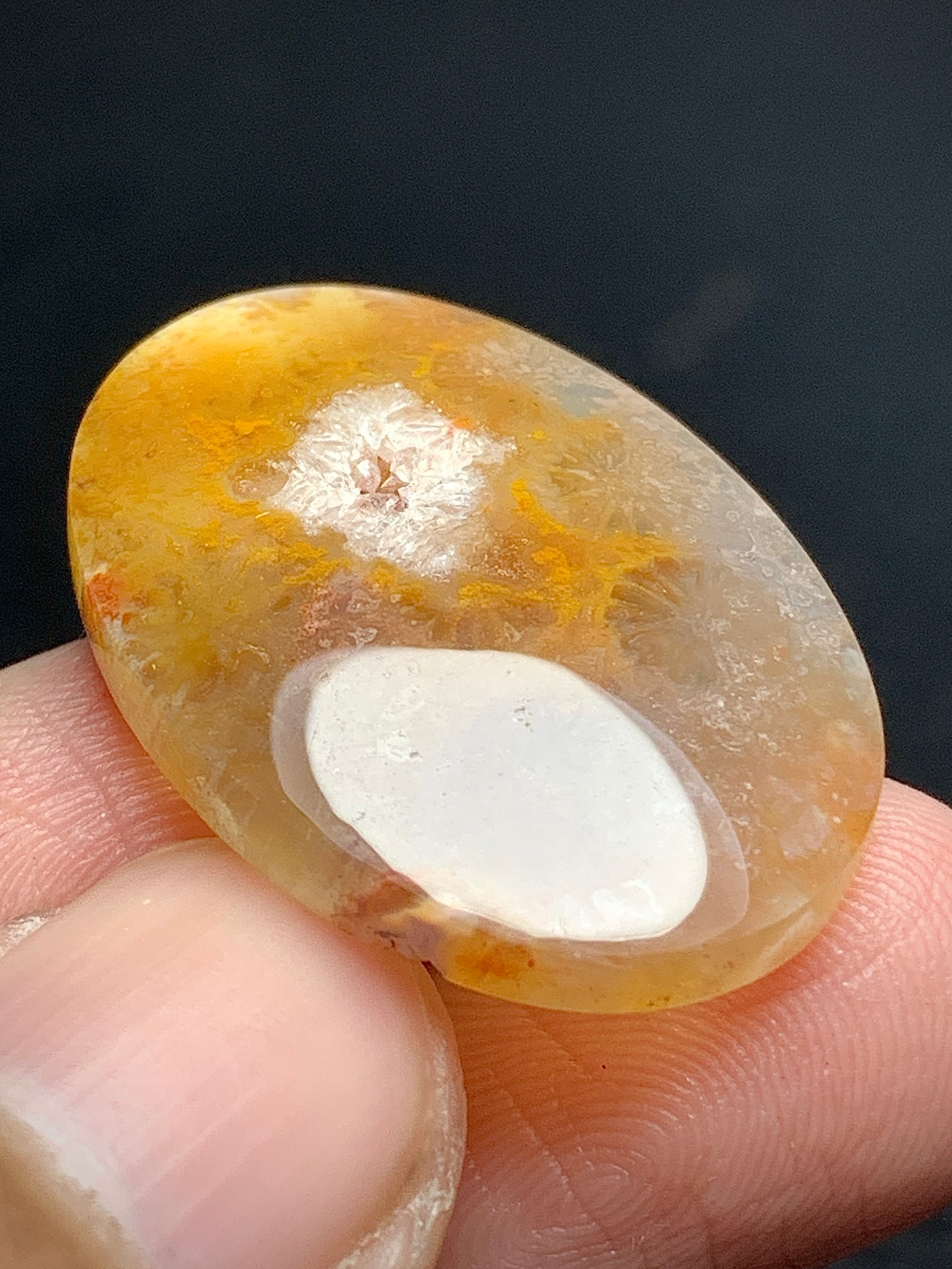 Unique Coral Fossil Oval Cabochon 28x20.5x5mm with Druzy