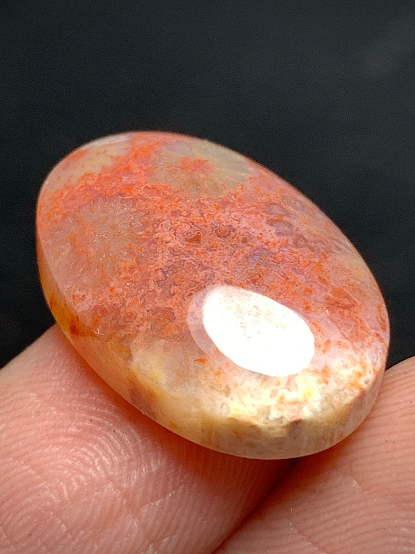 Unique Coral Fossil Oval Cabochon 20x18.3x5.7mm