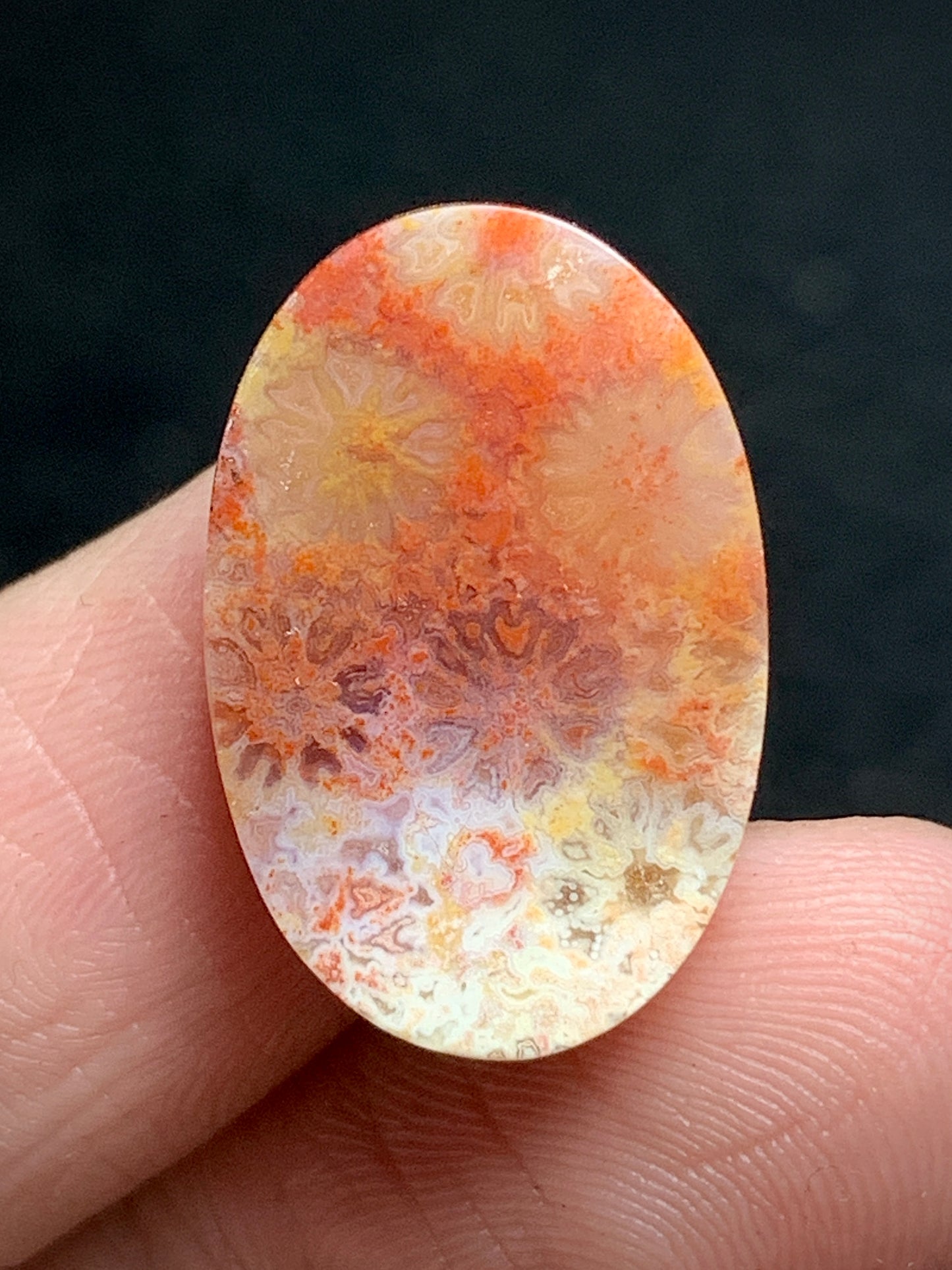 Unique Coral Fossil Oval Cabochon 20x18.3x5.7mm