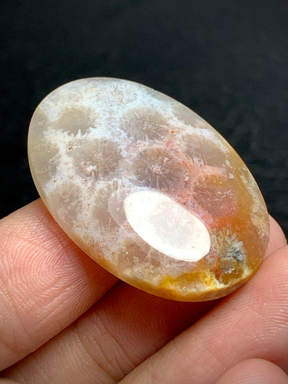 Unique Coral Fossil Oval Cabochon 34x23x6mm