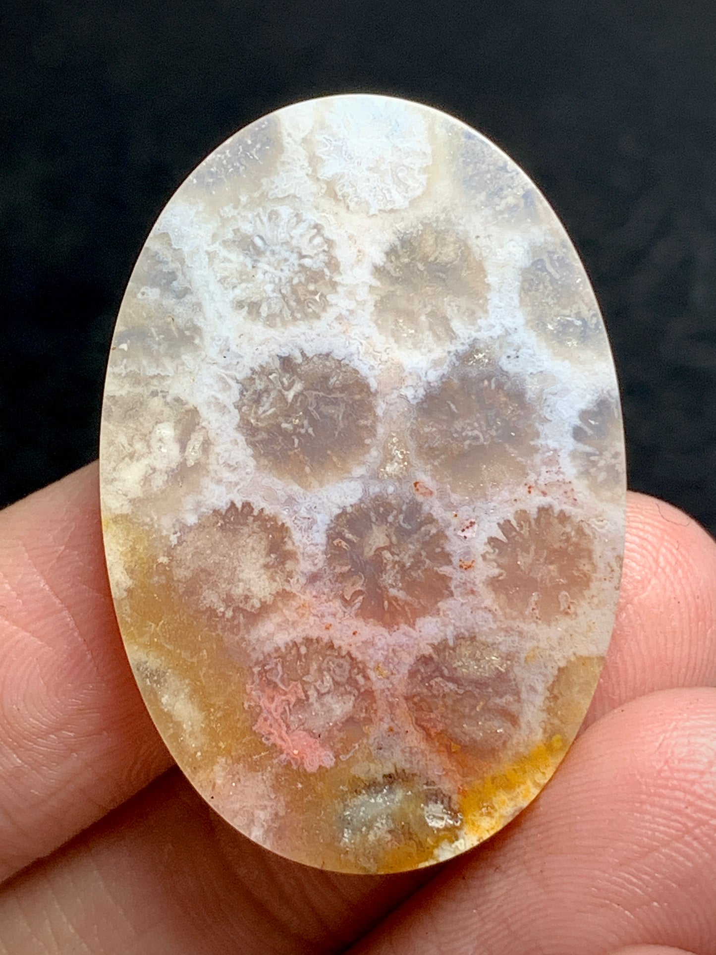 Unique Coral Fossil Oval Cabochon 34x23x6mm