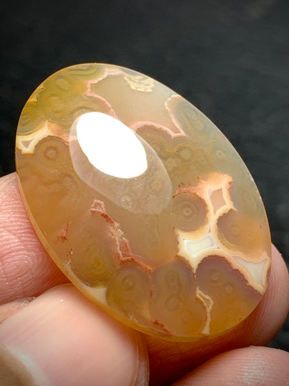 Orbicular Agate Oval Cabochon 29.5x20x5.8mm