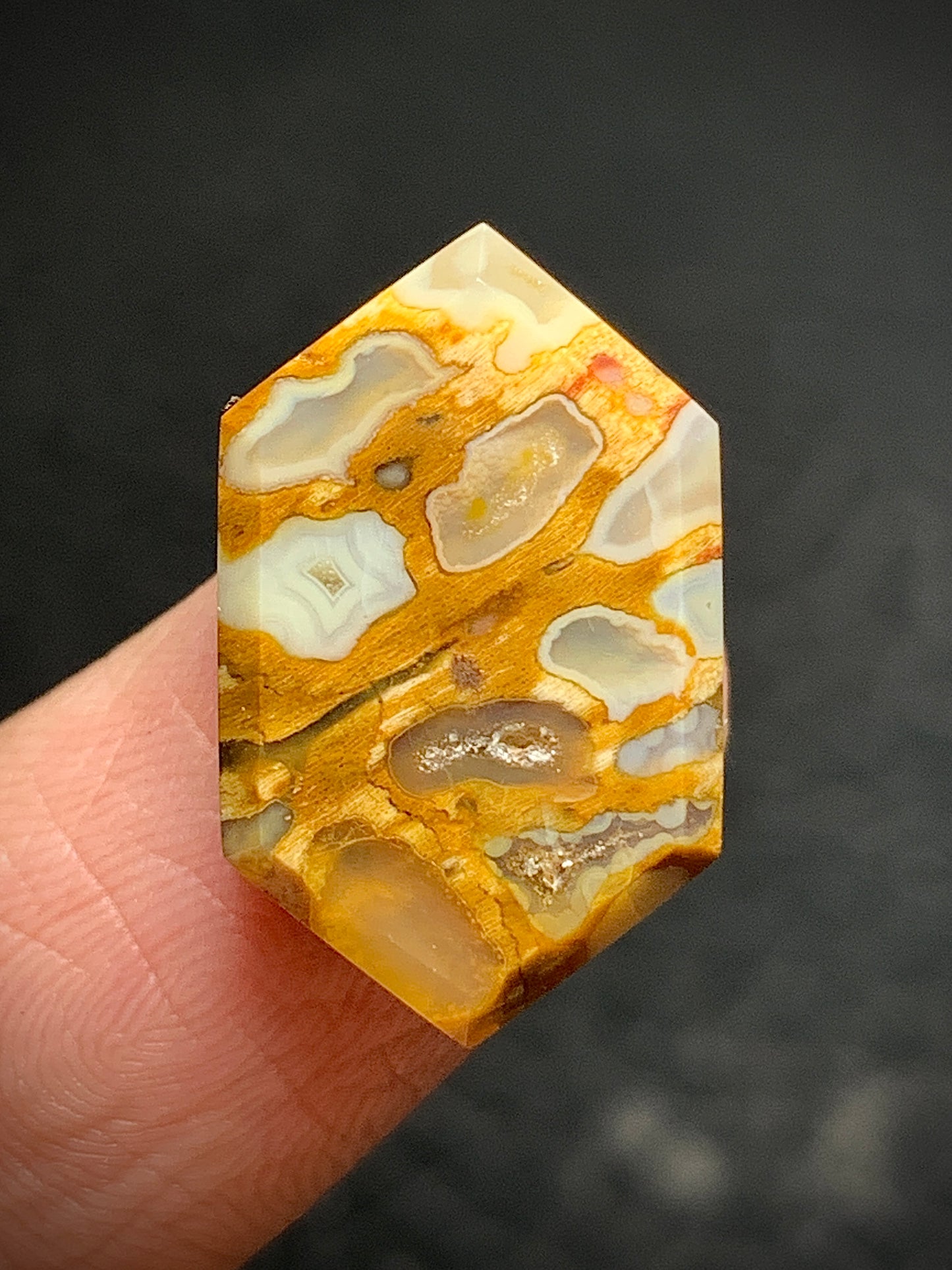 Petrified Palmroot Hexagon Cabochon 19x12x4.5mm with Pocket Fortification