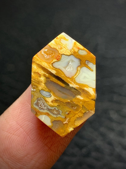 Petrified Palmroot Hexagon Cabochon 19x12x4.5mm with Pocket Fortification