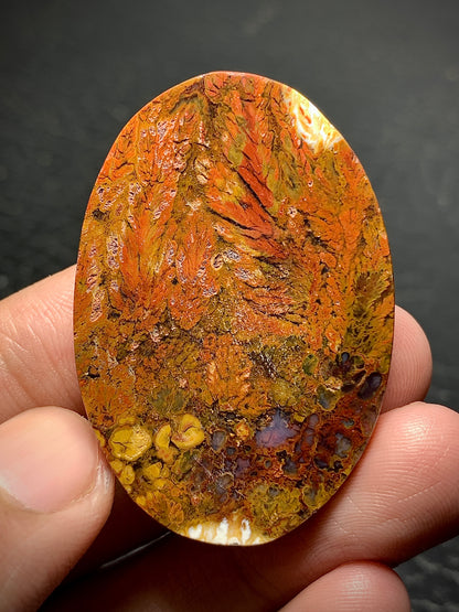 Unique Plume Agate Oval Cabochon 42.8x29x6.7mm