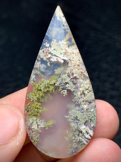 Scenic Moss Agate Teardrop Cabochon 41x19.5x6.5mm