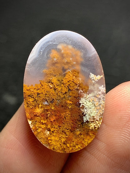 Scenic Natural Moss Agate Oval Cabochon 22x15x5.5mm