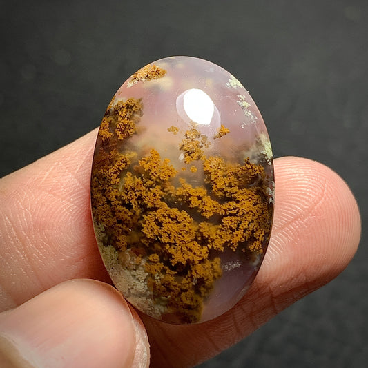 Scenic Moss Agate Oval Cabochon 26x18x7mm