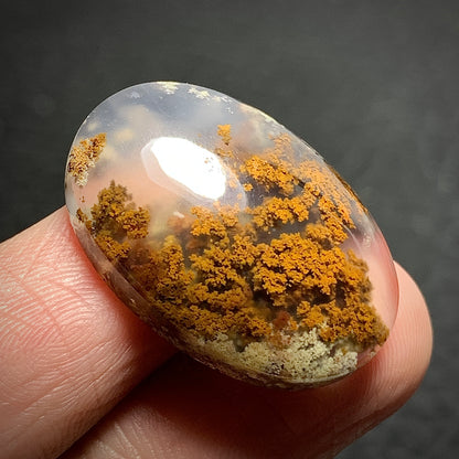 Scenic Moss Agate Oval Cabochon 26x18x7mm