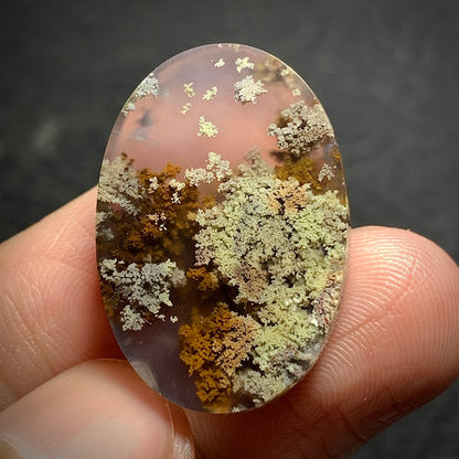 Scenic Moss Agate Oval Cabochon 26x18x7mm