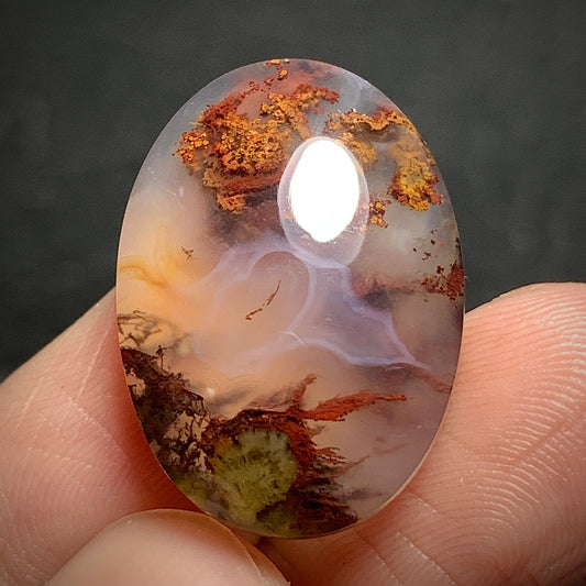 Scenic Moss Agate Oval Cabochon 22x16x7mm