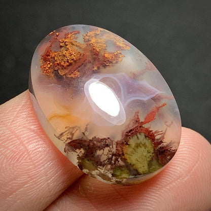 Scenic Moss Agate Oval Cabochon 22x16x7mm