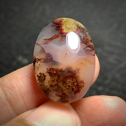 Scenic Moss Agate Oval Cabochon 22x16x7mm