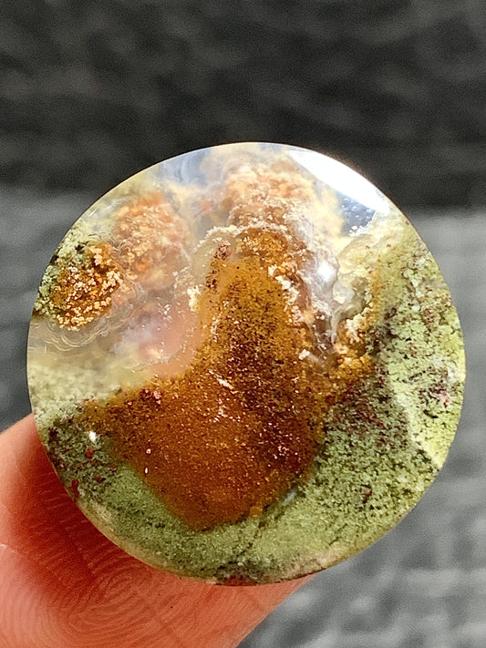 Scenic Moss Agate Round Cabochon 18.5x18.5x4mm