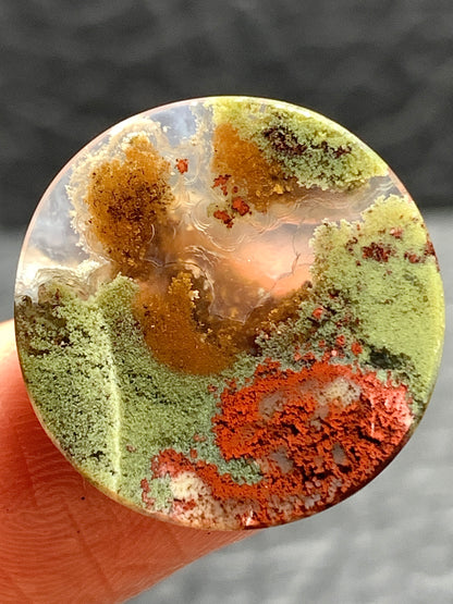 Scenic Moss Agate Round Cabochon 18.5x18.5x4mm