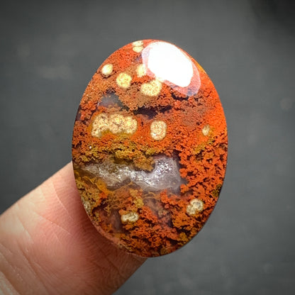 Plume Agate Oval Cabochon 23x16.7x5mm