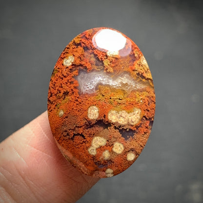 Plume Agate Oval Cabochon 23x16.7x5mm