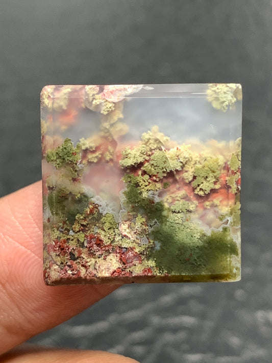 Scenic Moss Agate Square Cabochon 19x19x3mm