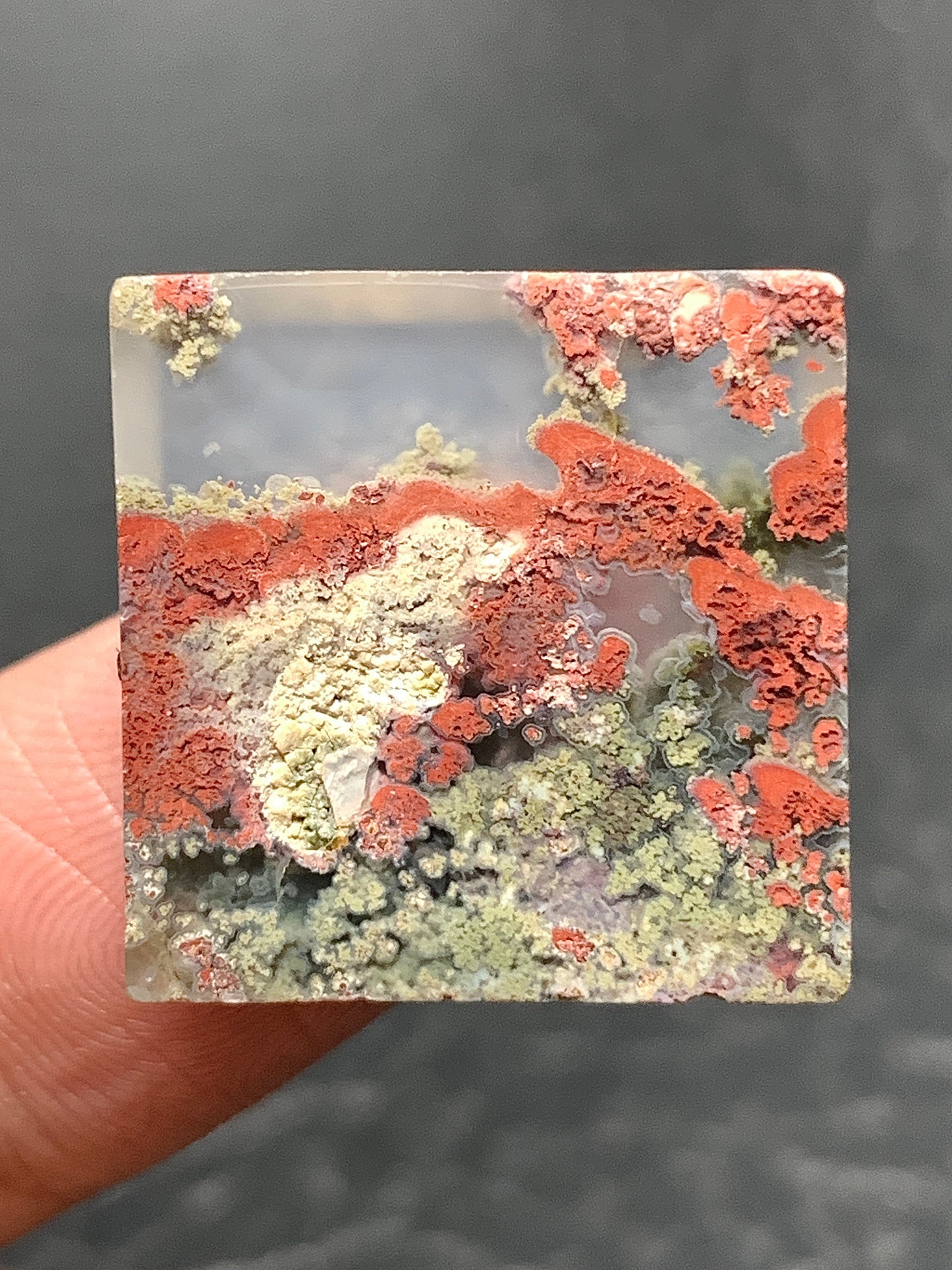 Scenic Moss Agate Square Cabochon 19x19x3mm