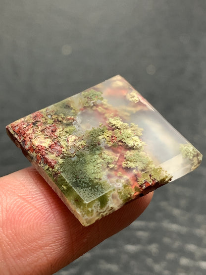 Scenic Moss Agate Square Cabochon 19x19x3mm