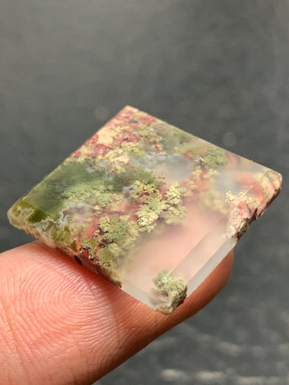 Scenic Moss Agate Square Cabochon 19x19x3mm